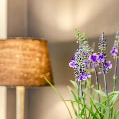 Appartement Femeer 01 Wilhelmshaven